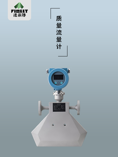 1651651046229082.jpg 質(zhì)量流量計(jì).jpg